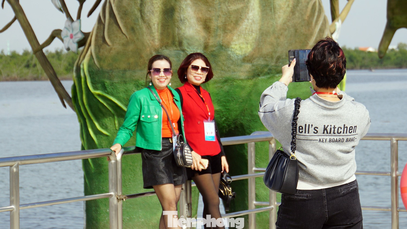 Du khách thích thú trải nghiệm rừng ngập mặn ở Đồ Sơn- Ảnh 6.