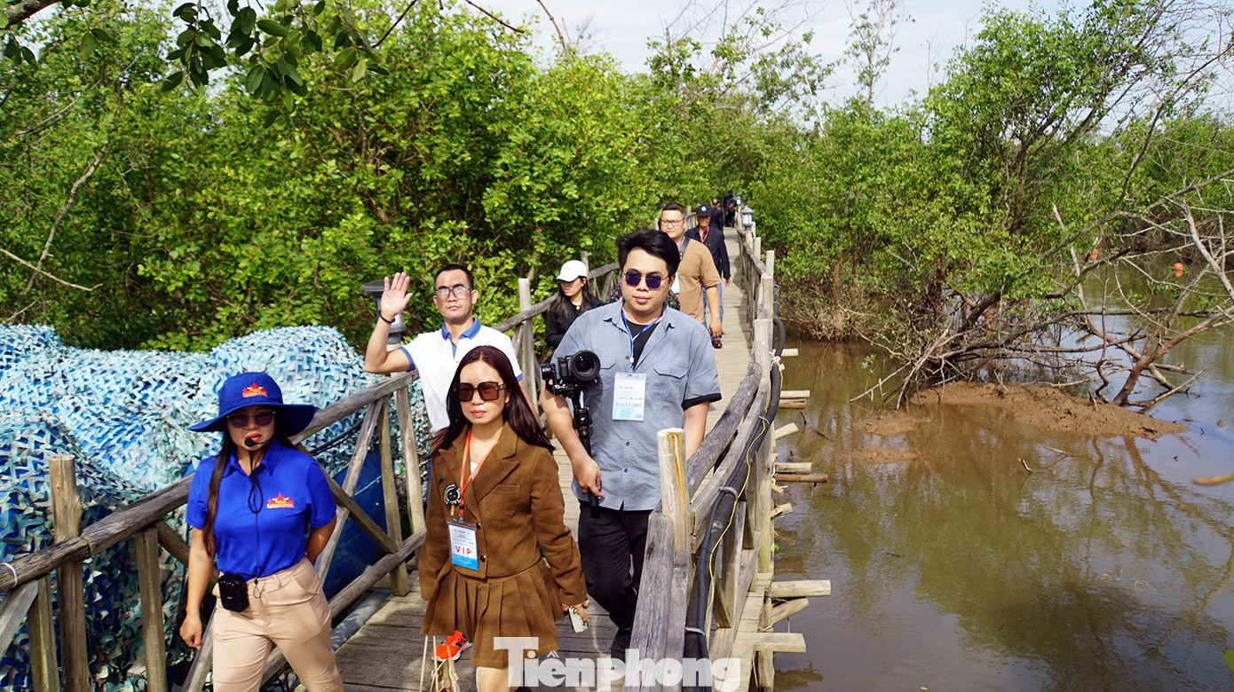 Du khách thích thú trải nghiệm rừng ngập mặn ở Đồ Sơn- Ảnh 12.