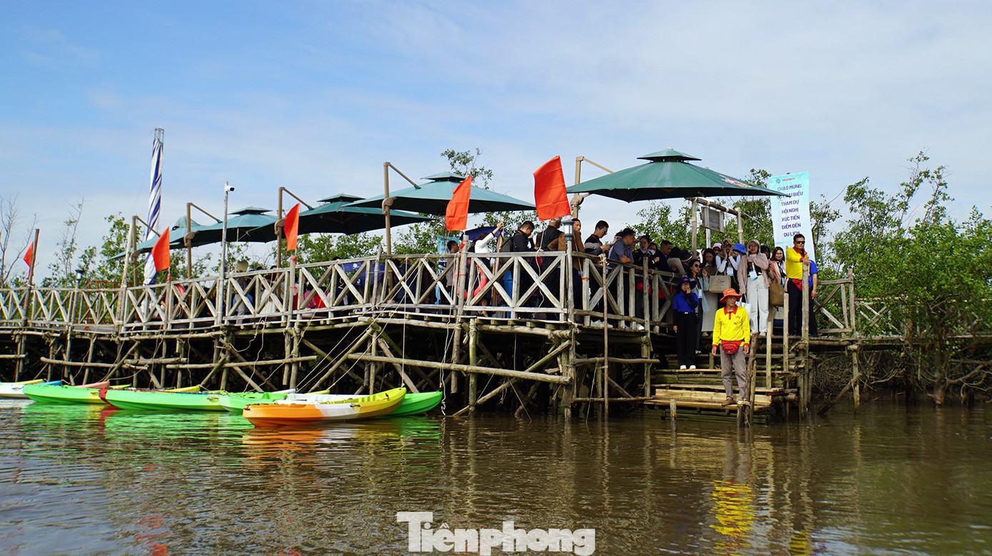 Du khách thích thú trải nghiệm rừng ngập mặn ở Đồ Sơn- Ảnh 11.