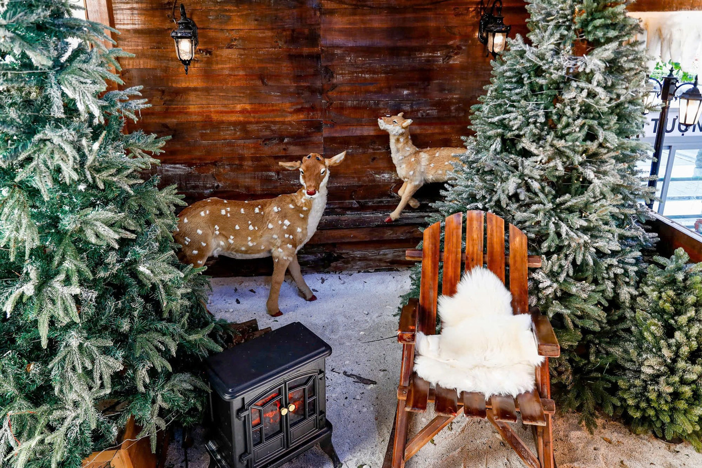 Xếp hàng chụp ảnh Giáng sinh sớm tại các quán cafe- Ảnh 15.