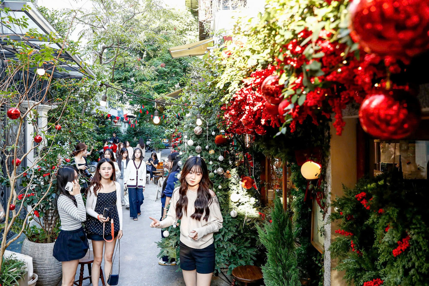 Xếp hàng chụp ảnh Giáng sinh sớm tại các quán cafe- Ảnh 17.