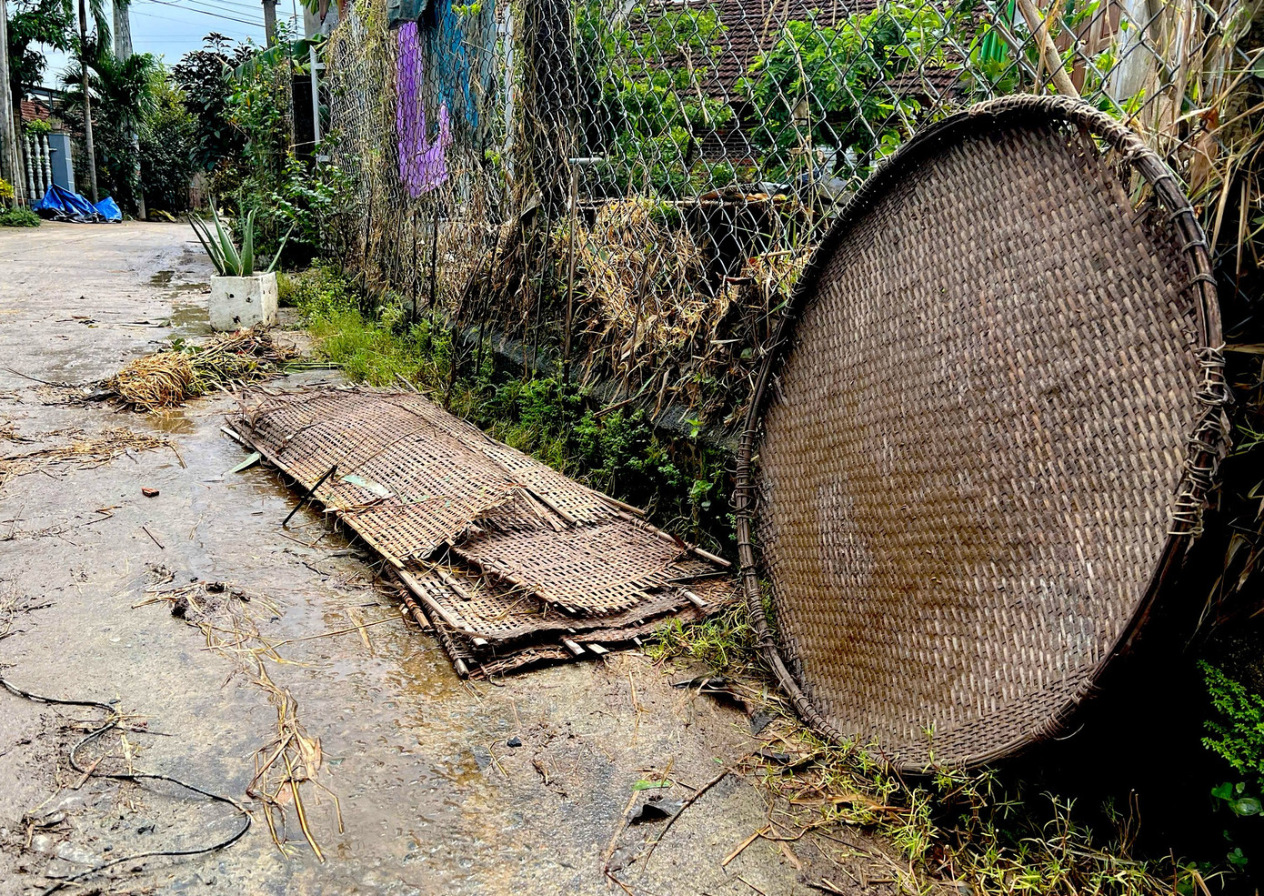 Người dân làng nghề bánh tráng bật khóc sau trận lũ lịch sử: “Không còn gì ngoài bùn và nước”- Ảnh 14.