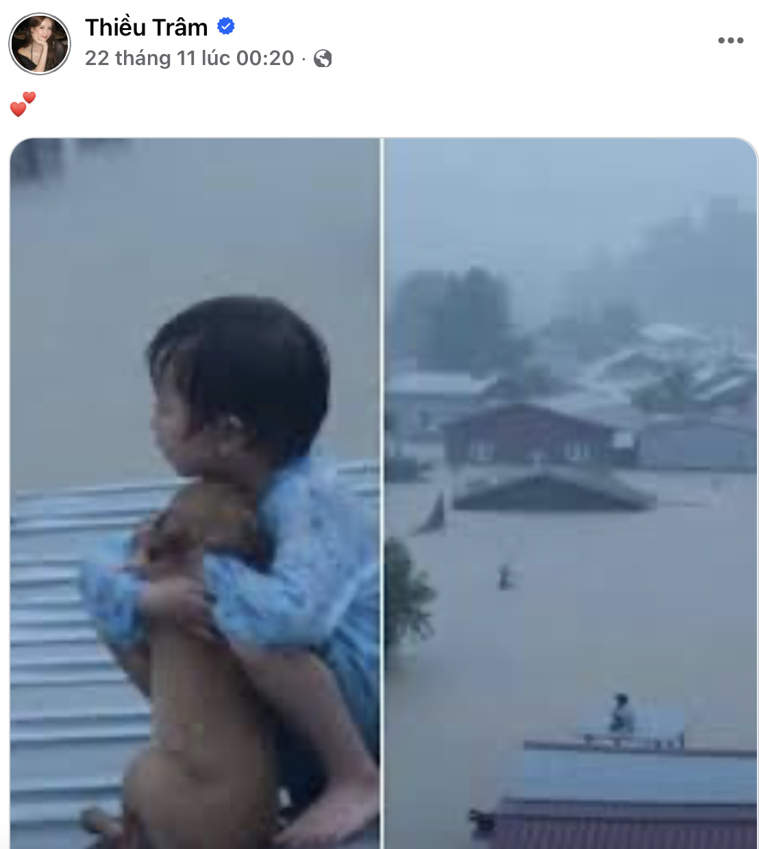 Thiều Bảo Trâm bị chỉ trích, đăng gì mà netizen đồng loạt nói phải xoá gấp?- Ảnh 3. Thiều Bảo Trâm bị chỉ trích, đăng gì mà netizen đồng loạt nói phải xoá gấp?- Ảnh 3.