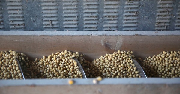 Trung Quốc quay lưng dừng nhập khẩu, Mỹ tăng mạnh đưa một mặt hàng vào Việt Nam với giá siêu rẻ, nước ta tiêu thụ thứ 3 thế giới- Ảnh 1.