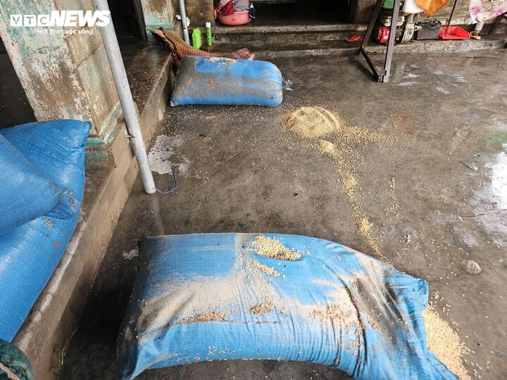 Hai ngày vô vọng tìm cha và ông nội của nữ phóng viên trong lũ dữ- Ảnh 5.