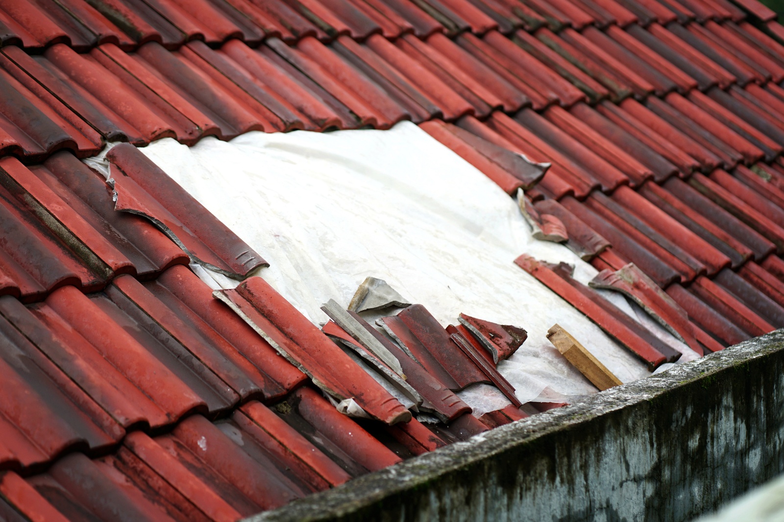 Nhóm "người hùng" đập mái ngói, dùng xuồng nhôm cứu gần 60 người giữa lũ dữ- Ảnh 2.