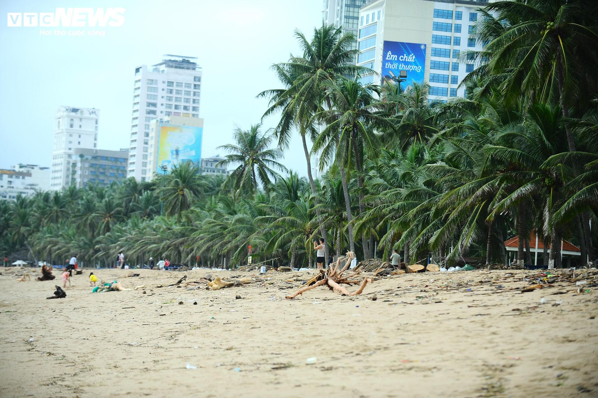 Du khách nước ngoài cùng người dân dọn rác trên biển Nha Trang sau lũ lịch sử- Ảnh 6.