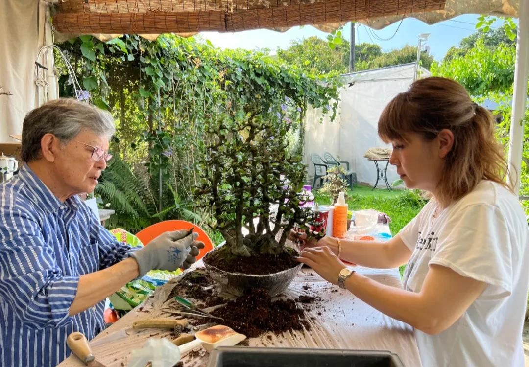 Người phụ nữ U50 bỏ việc lương cao về "chơi cây" với bố ung thư: Biến nghề bonsai ít ai biết thành sứ mệnh đời mình- Ảnh 14.