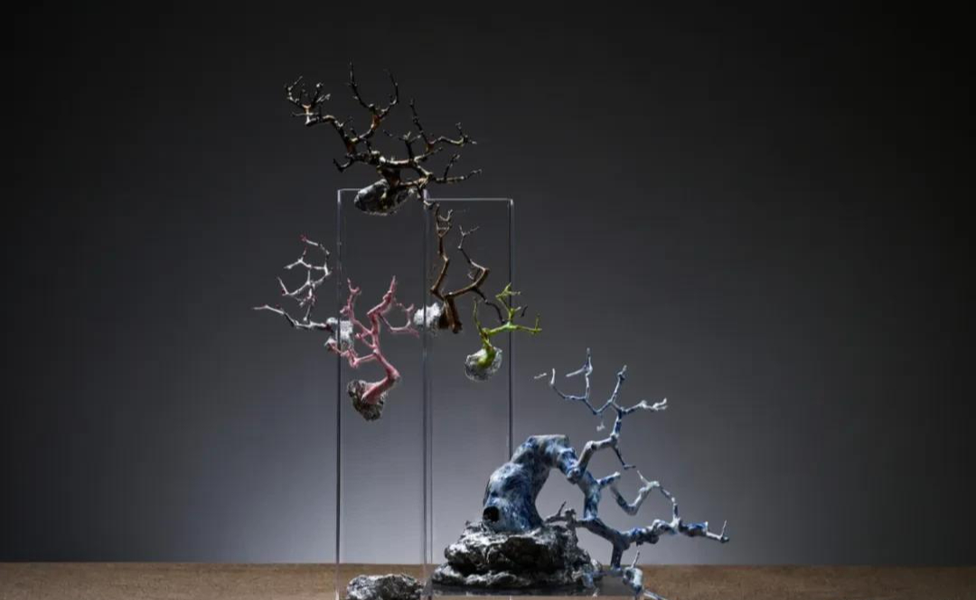 Người phụ nữ U50 bỏ việc lương cao về "chơi cây" với bố ung thư: Biến nghề bonsai ít ai biết thành sứ mệnh đời mình- Ảnh 5.