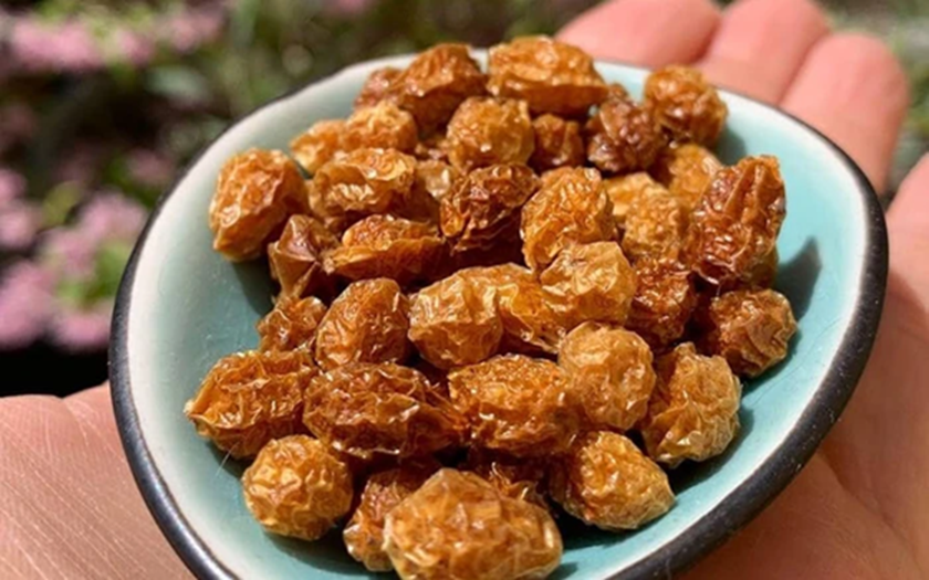 Cây “vô danh” bất ngờ thành đặc sản giá hơn 500 triệu đồng/kg, Việt Nam cũng đã trồng thành công- Ảnh 2.