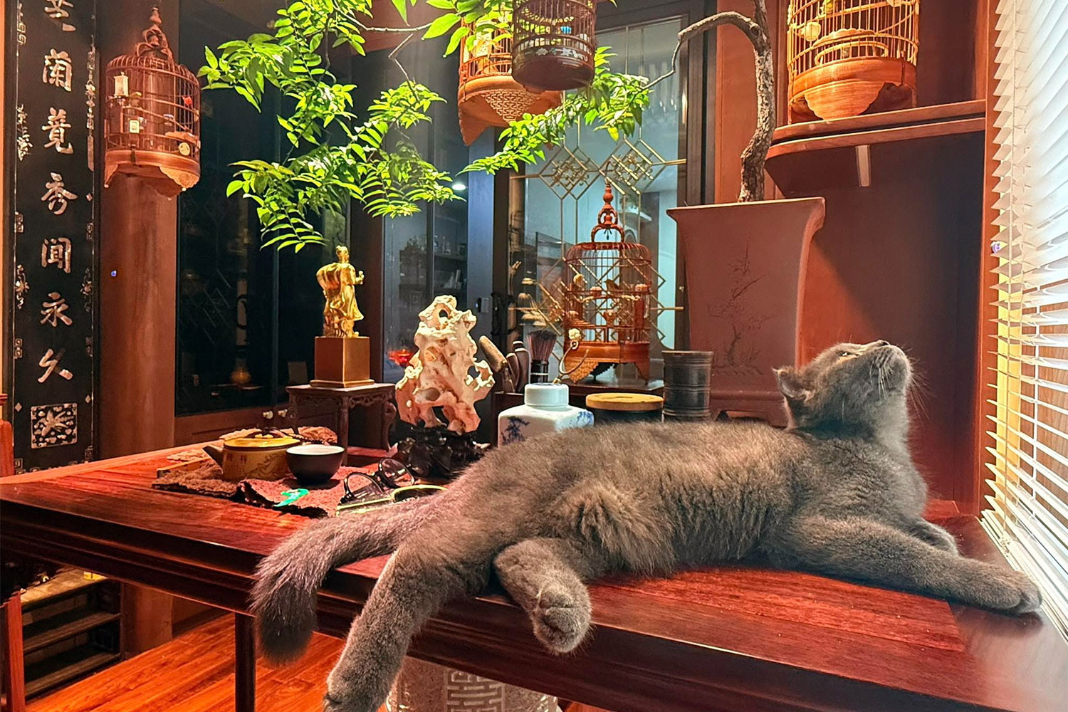 Nam nghệ sĩ sở hữu nhà ở phố Nguyễn Thượng Hiền, biệt phủ ở ngoại ô Hà Nội, vợ sinh 5 con vẫn đẹp- Ảnh 4.