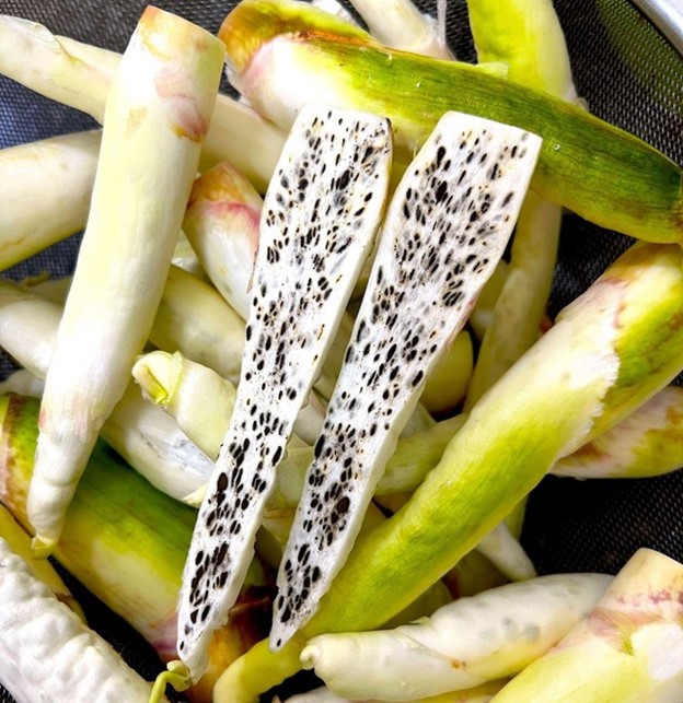 Đặc sản "sâm trong nước": Giàu vitamin, nghèo calo, giúp giảm cân, làm đủ món ngon ngày lạnh- Ảnh 3.