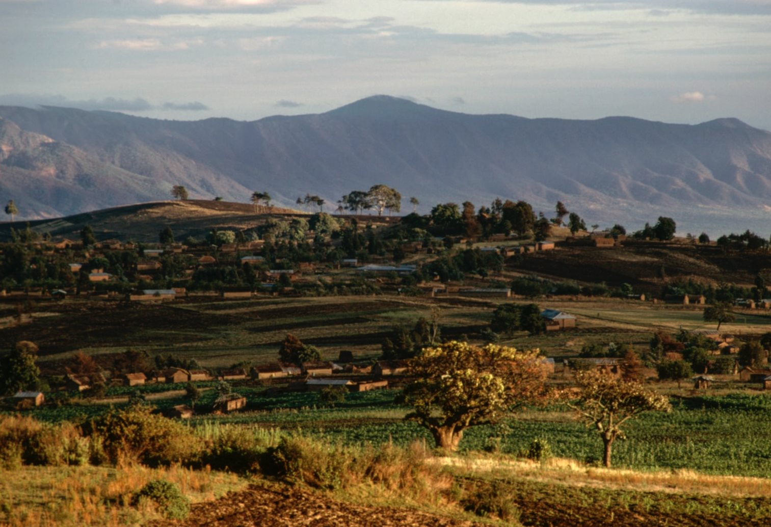 Phát hiện mỏ đất hiếm trữ lượng hơn 214 triệu tấn có giá trị lên đến hơn 900 tỷ USD: Úc tìm thấy nhưng lập tức "rơi vào tay" Trung Quốc- Ảnh 1.