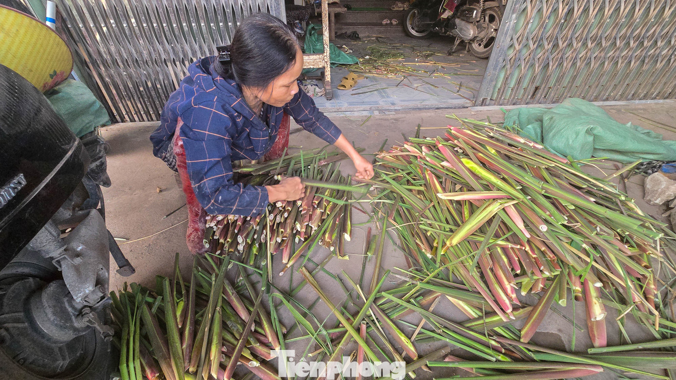 Loại củ mỗi năm chỉ có một lần, ăn giòn ngọt, nguyên vị sương sớm gây thương nhớ- Ảnh 3.