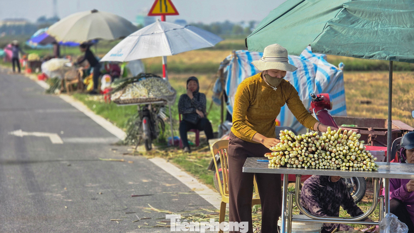 Loại củ mỗi năm chỉ có một lần, ăn giòn ngọt, nguyên vị sương sớm gây thương nhớ- Ảnh 6.