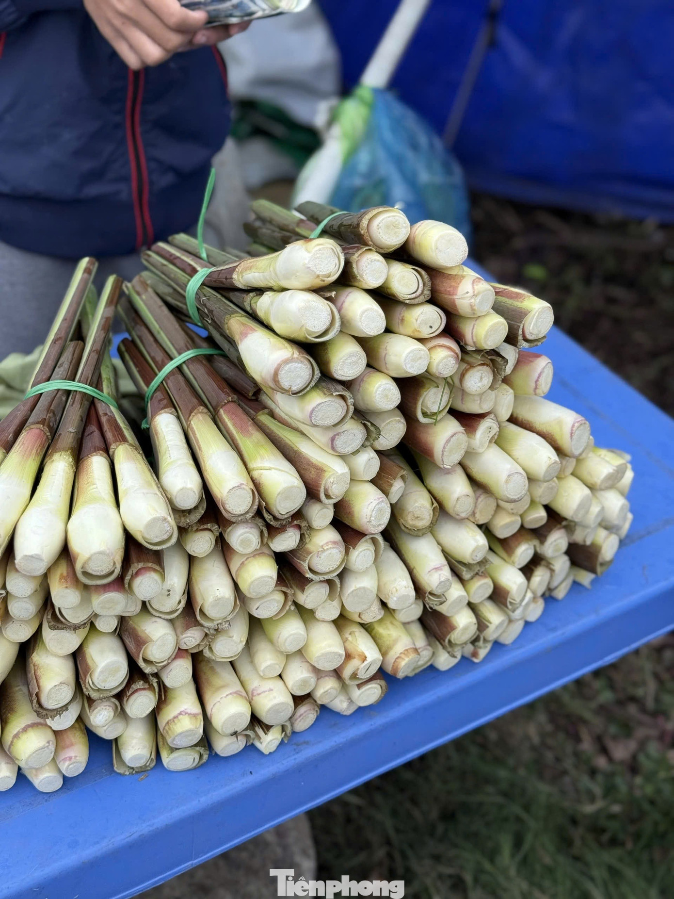 Loại củ mỗi năm chỉ có một lần, ăn giòn ngọt, nguyên vị sương sớm gây thương nhớ- Ảnh 4.