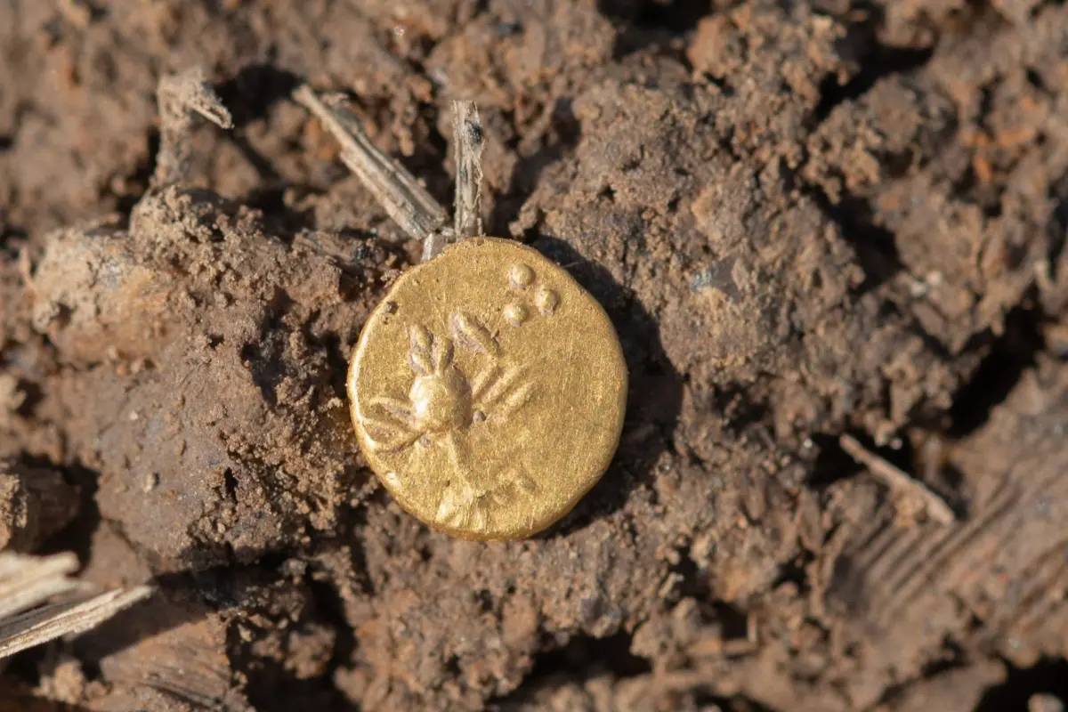 Kho báu vô giá được tìm thấy tại địa điểm bí mật của châu Âu- Ảnh 1.