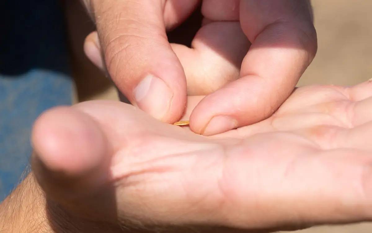 Kho báu vô giá được tìm thấy tại địa điểm bí mật của châu Âu- Ảnh 2.