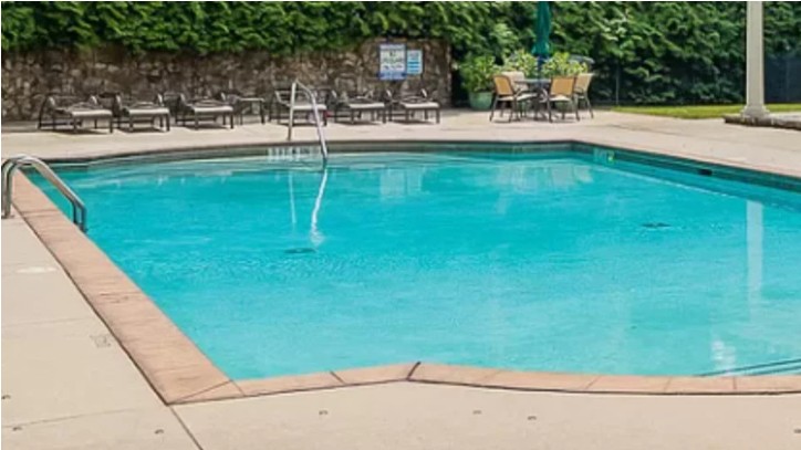 Đào hồ bơi ở vườn, người đàn ông phát hiện kho báu vàng trị giá 21 tỷ đồng: Chính quyền lập tức vào cuộc- Ảnh 3. Đào hồ bơi ở vườn, người đàn ông phát hiện kho báu vàng trị giá 21 tỷ đồng: Chính quyền lập tức vào cuộc- Ảnh 3.