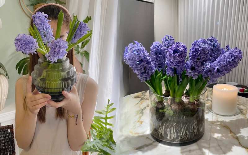 Nhiều chị em đang kháo nhau: Tết này nhất định phải trồng một chậu “hoa của các vị thần”, vừa thơm nhà vừa sang chảnh- Ảnh 1.