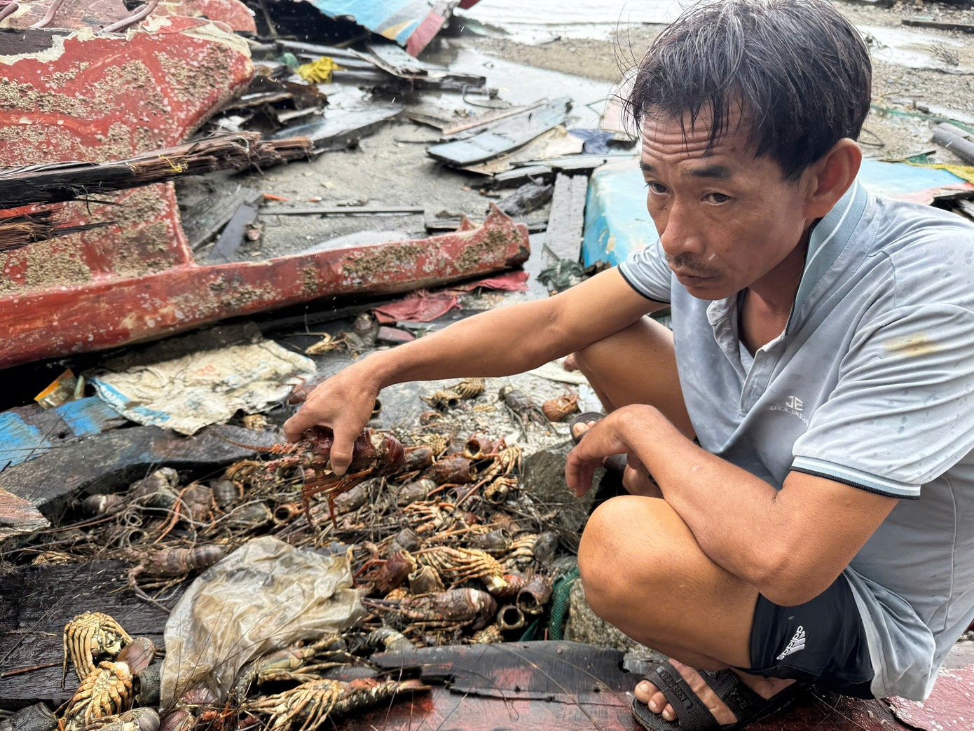 Tôm hùm chết sạch, chất đống bốc mùi hôi thối sau lũ- Ảnh 6.