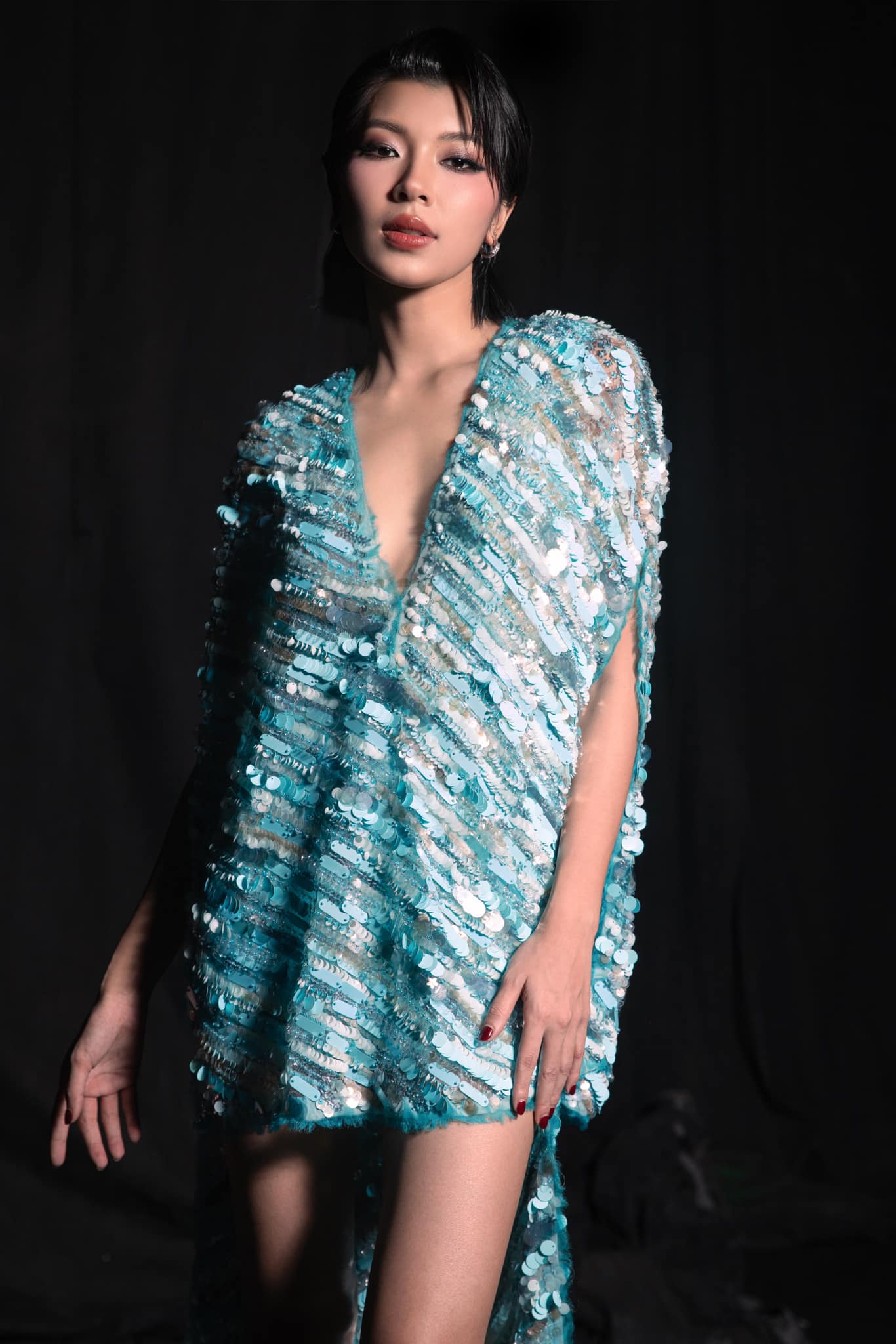 Đồng Ánh Quỳnh: 