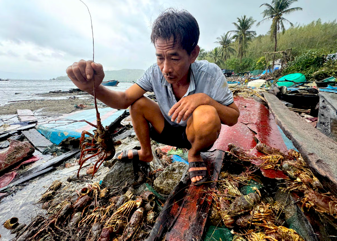Tôm hùm chết sạch, chất đống bốc mùi hôi thối sau lũ- Ảnh 7.