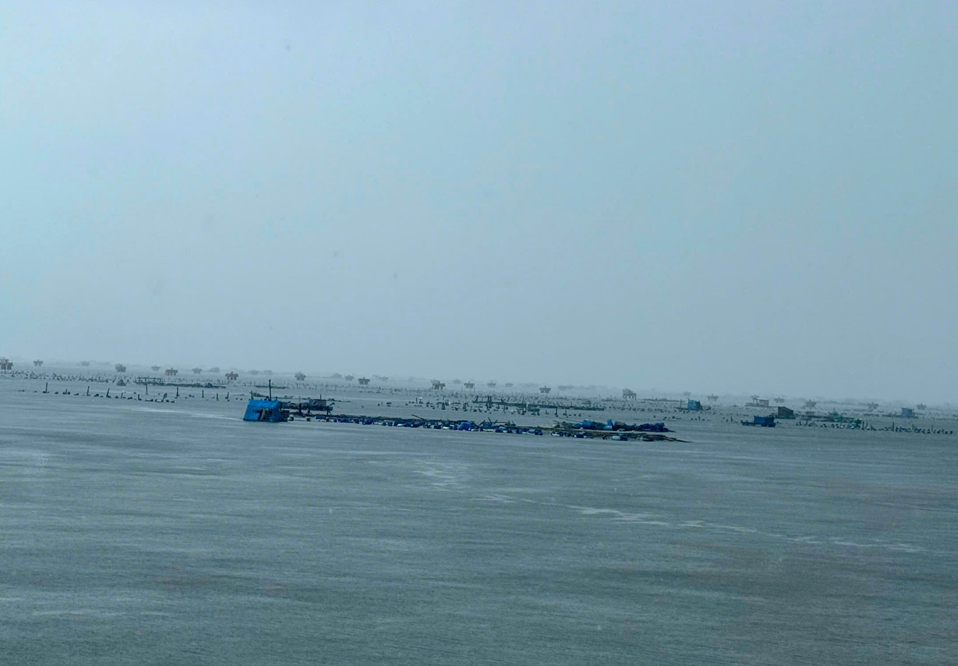 Tôm hùm chết sạch, chất đống bốc mùi hôi thối sau lũ- Ảnh 3.