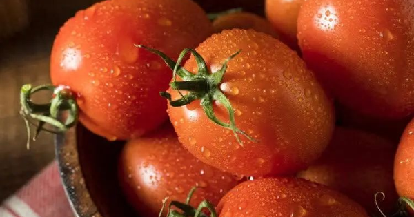 Người đ&agrave;n &ocirc;ng 49 tuổi ăn c&agrave; chua mỗi ng&agrave;y, sau 1 năm kết quả khiến b&aacute;c sĩ cũng phải bất ngờ