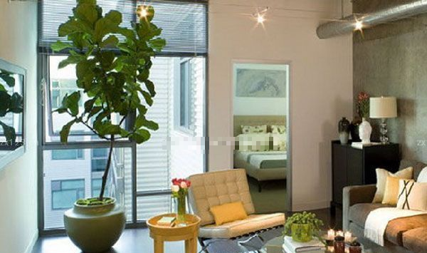 Món đồ cực vượng phong thủy, xin chúc mừng gia đình nào sở hữu- Ảnh 1.