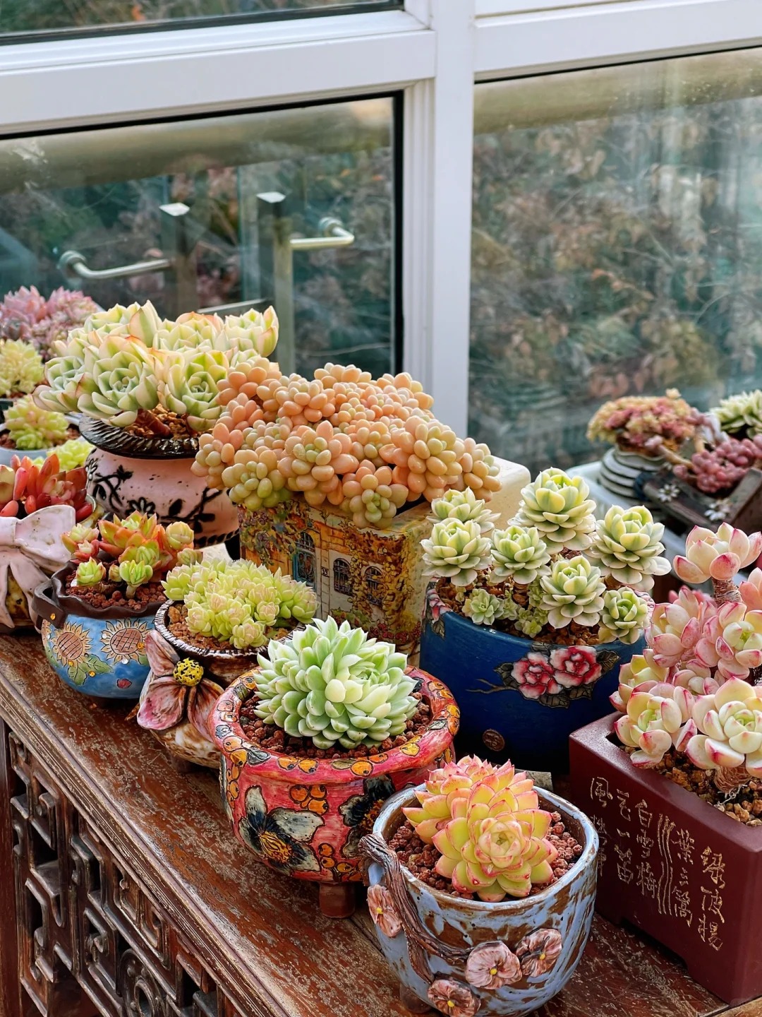 Trồng sen đá, xương rồng là tụ tài hay phá tài? Câu trả lời không chỉ nằm ở cái chậu cây- Ảnh 1. Trồng sen đá, xương rồng là tụ tài hay phá tài? Câu trả lời không chỉ nằm ở cái chậu cây- Ảnh 1.