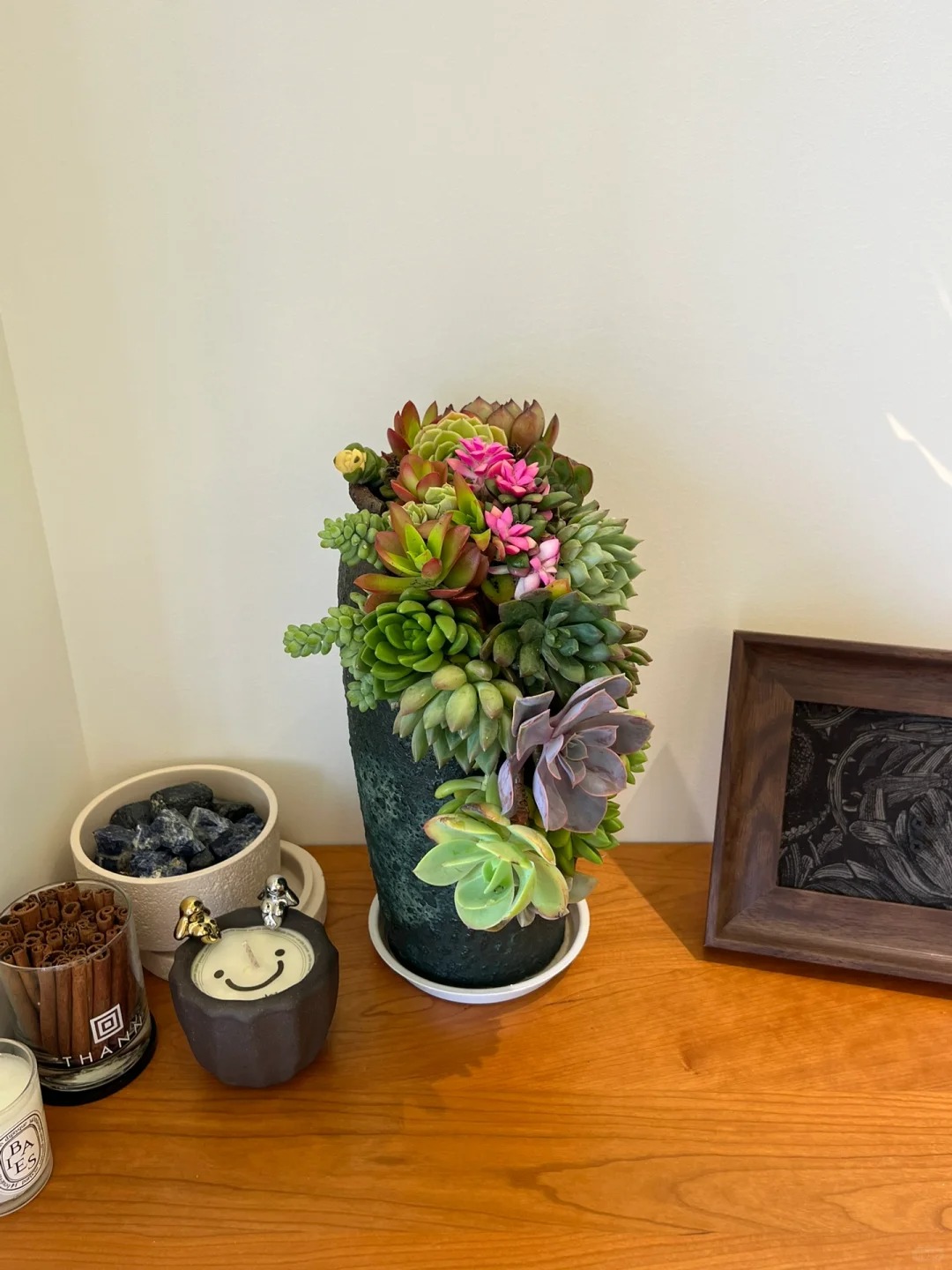 Trồng sen đá, xương rồng là tụ tài hay phá tài? Câu trả lời không chỉ nằm ở cái chậu cây- Ảnh 10. Trồng sen đá, xương rồng là tụ tài hay phá tài? Câu trả lời không chỉ nằm ở cái chậu cây- Ảnh 10.