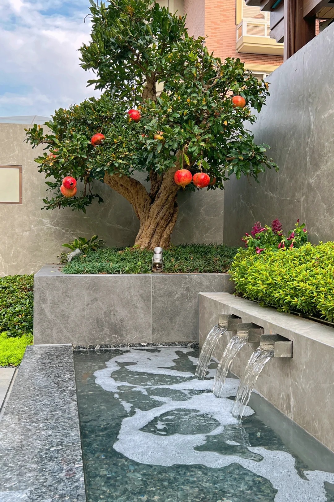 Sân nhà trồng 3 loại cây này: Càng trồng càng thấy nhà ấm, lộc về kín cổng- Ảnh 8.