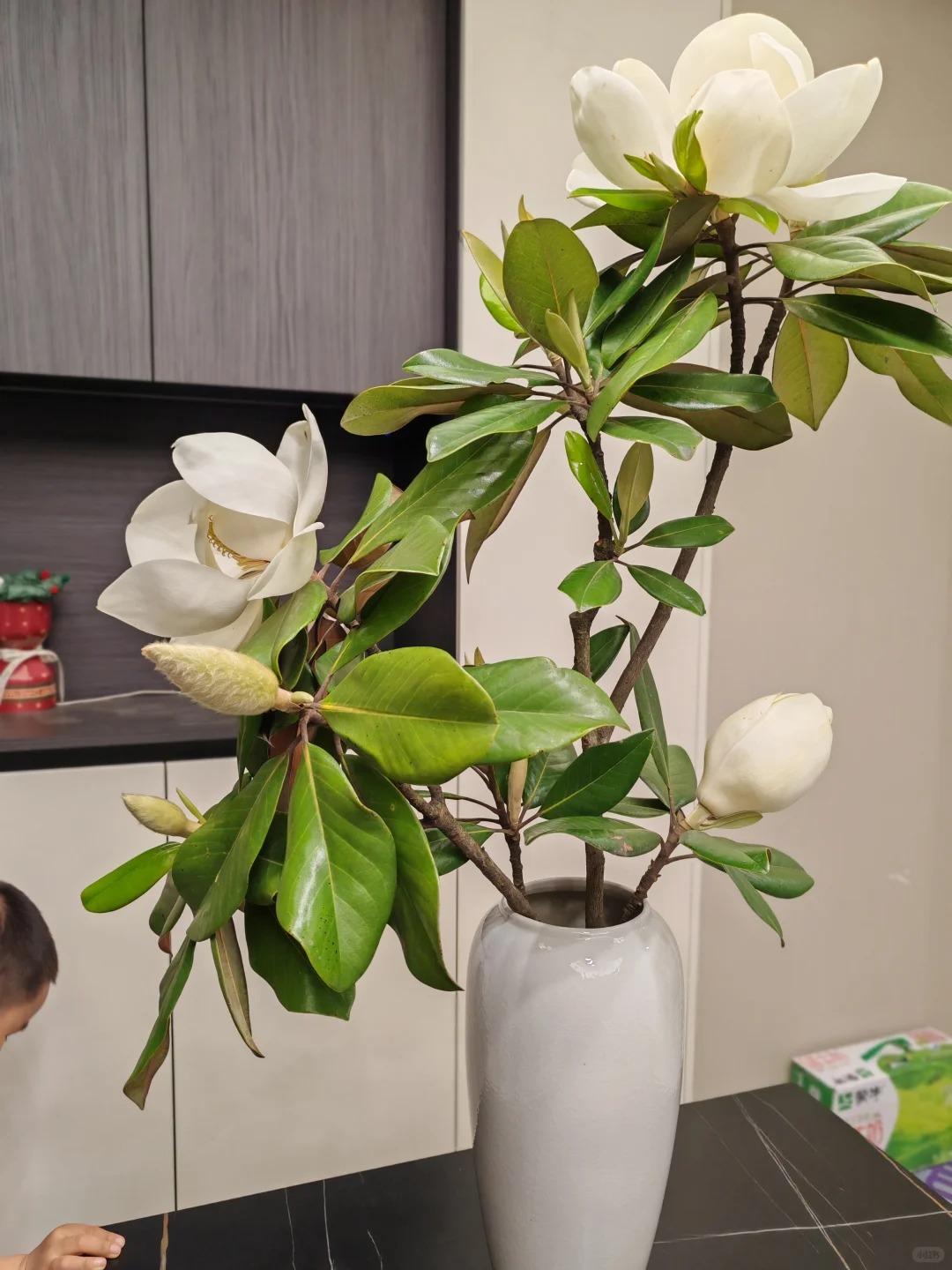 Sân nhà trồng 3 loại cây này: Càng trồng càng thấy nhà ấm, lộc về kín cổng- Ảnh 1.