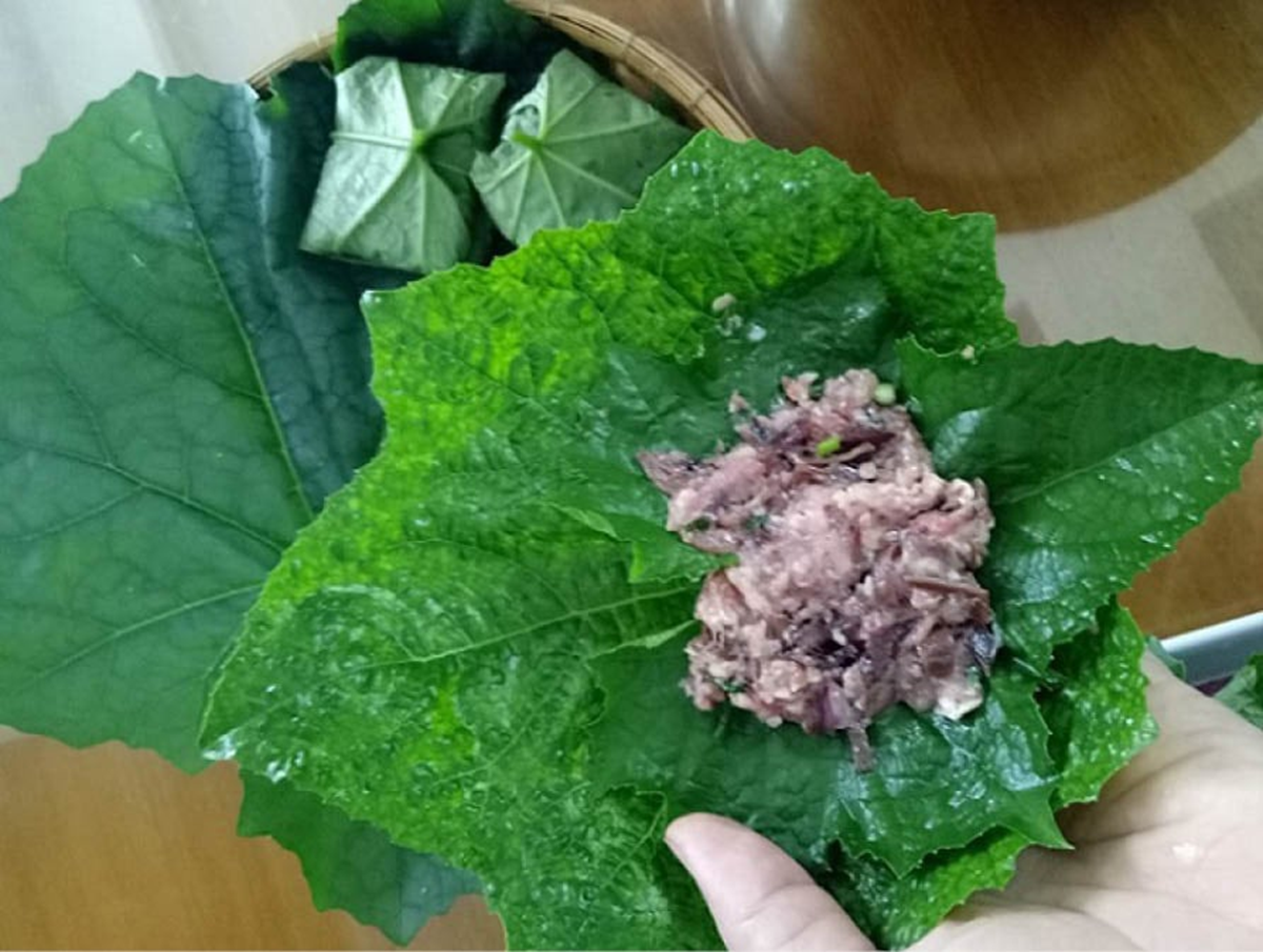 Đừng chỉ ăn quả, lá loại cây này quý như "nhân sâm người nghèo", ở quê mọc đầy bờ rào- Ảnh 3.