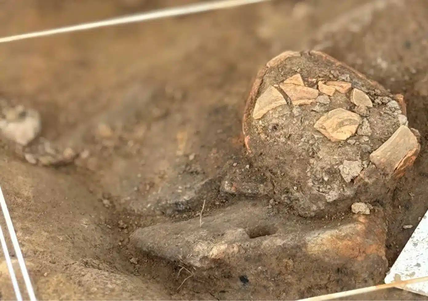 Phát hiện chấn động ở Pháp: Ngôi mộ đầy điểm bất thường và 22 báu vật vàng- Ảnh 1. Phát hiện chấn động ở Pháp: Ngôi mộ đầy điểm bất thường và 22 báu vật vàng- Ảnh 1.