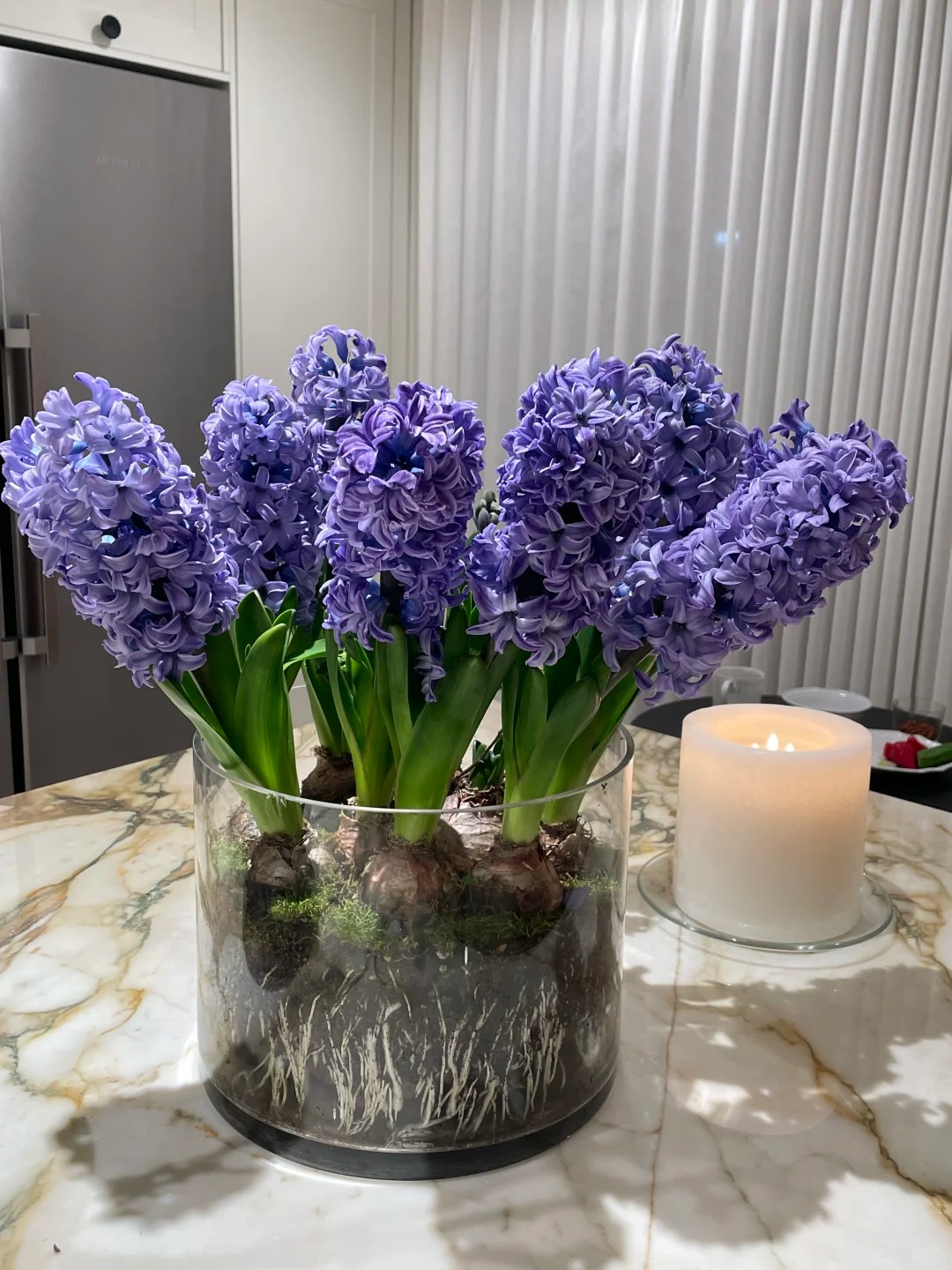 Nhiều chị em đang kháo nhau: Tết này nhất định phải trồng một chậu “hoa của các vị thần”, vừa thơm nhà vừa sang chảnh- Ảnh 6.