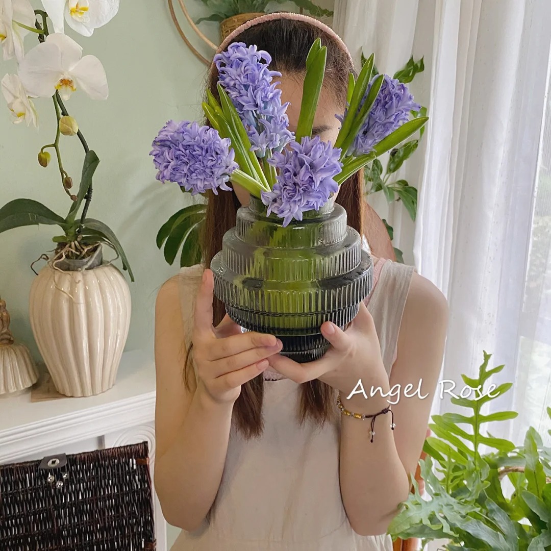 Nhiều chị em đang kháo nhau: Tết này nhất định phải trồng một chậu “hoa của các vị thần”, vừa thơm nhà vừa sang chảnh- Ảnh 2.