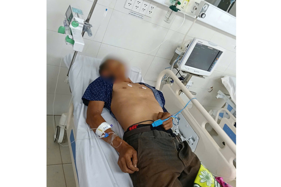 Ngộ độc sau khi ăn bọ xít, một bệnh nhân nguy kịch- Ảnh 1.