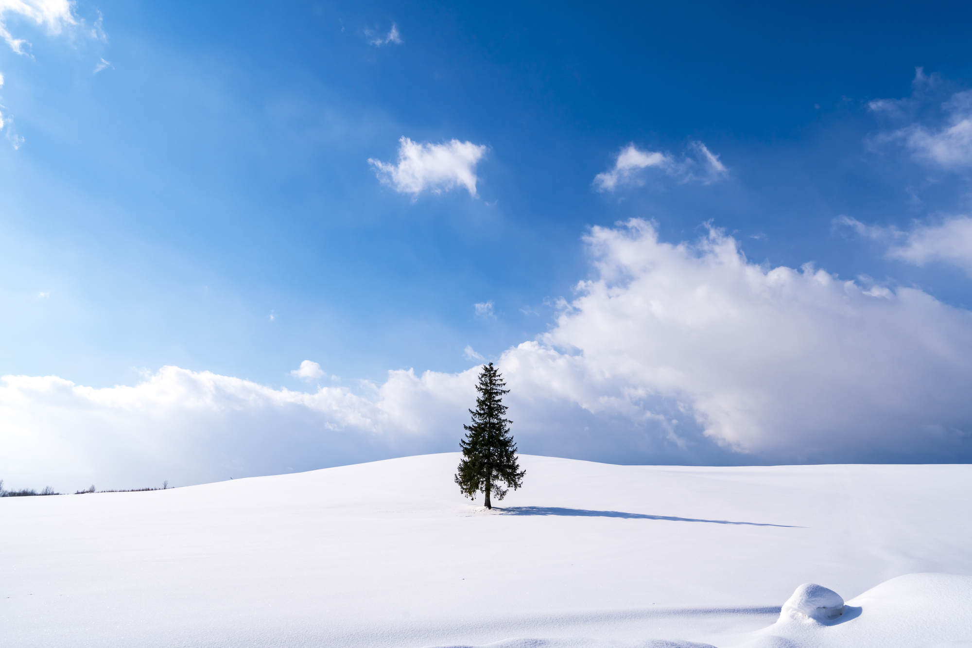 Không phải Thụy Sĩ hay châu Âu, đây mới là nơi 3 năm liên tiếp được báo Mỹ vinh danh "hấp dẫn nhất thế giới": Đón lượng khách Việt cao kỷ lục- Ảnh 3.