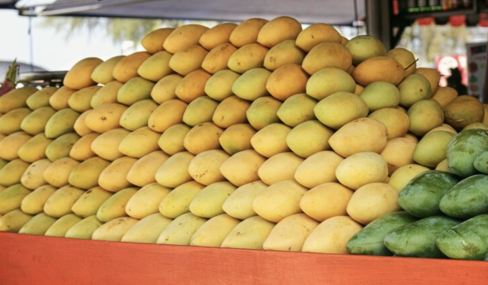 Khách Hàn chi 4 triệu/ngày chỉ để ăn “ngọc vàng” Việt Nam bán đầy ở chợ- Ảnh 1.