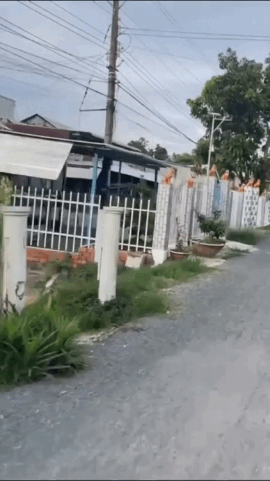 "Đặc sản" trước cửa nhà người miền Tây, cả nước ít người hiểu- Ảnh 3.