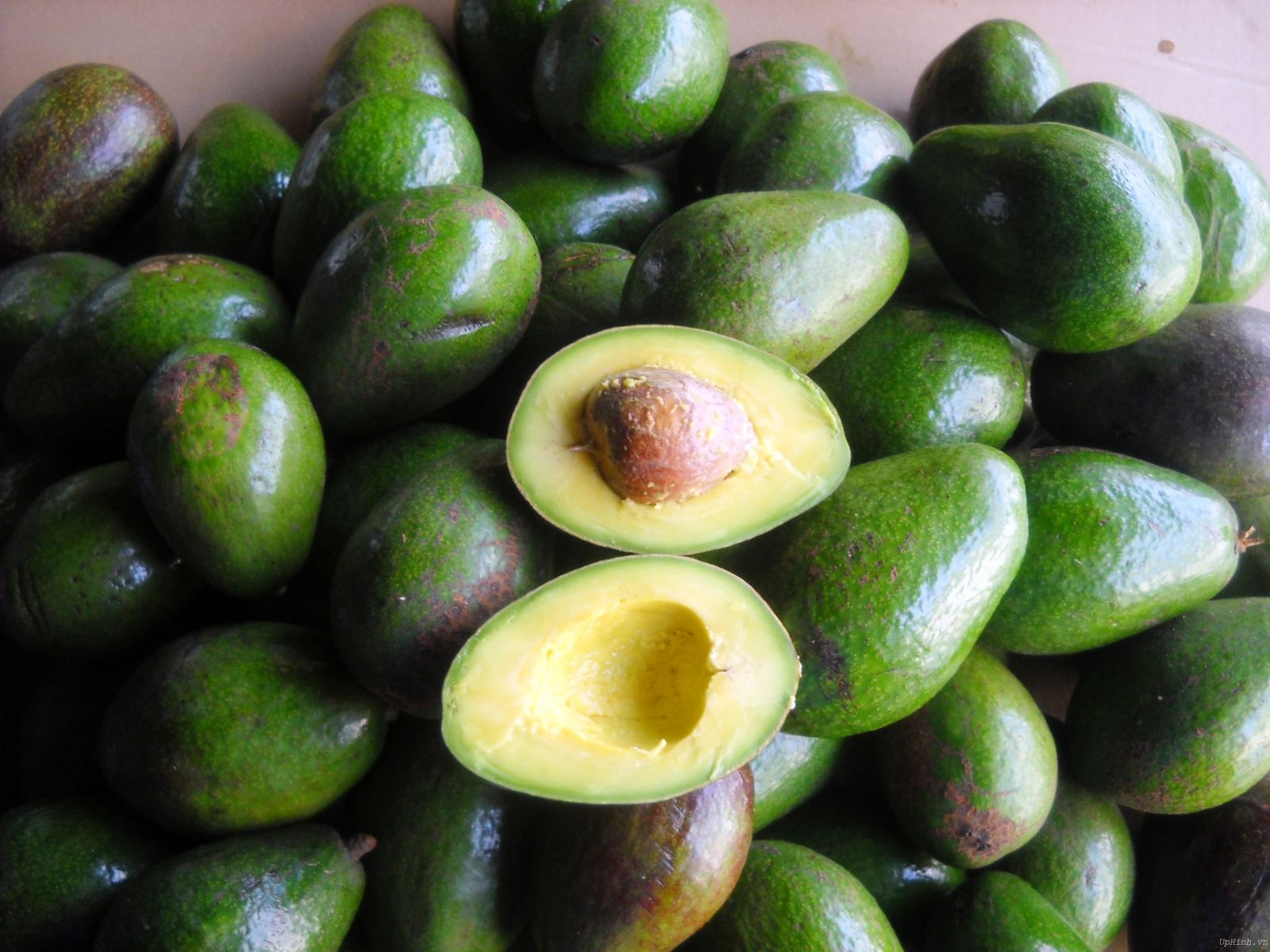 Trương Bá Chi U50 da vẫn căng mọng collagen: Ngày nào cũng ăn loại quả "kem dưỡng ẩm tự nhiên" hệ nội tiết rất thích- Ảnh 6.