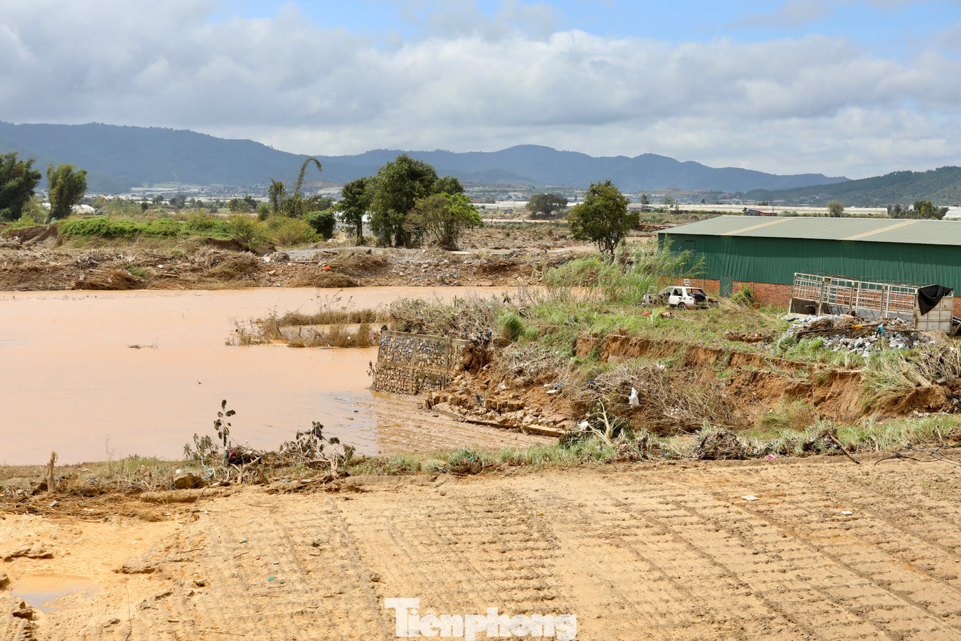 Tan hoang thủ phủ rau Lâm Đồng- Ảnh 1.