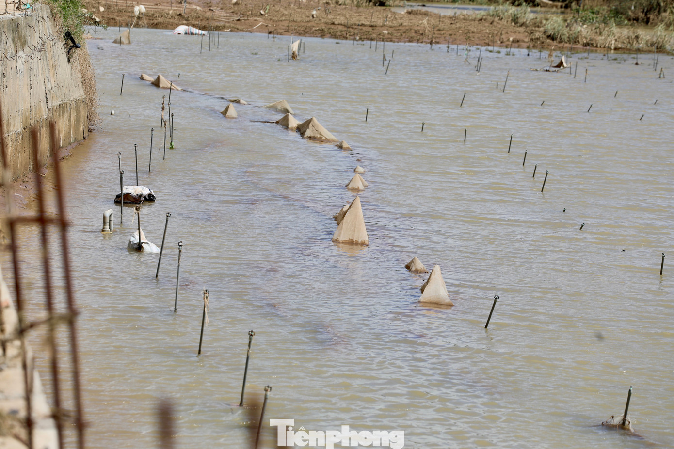 Tan hoang thủ phủ rau Lâm Đồng- Ảnh 22.
