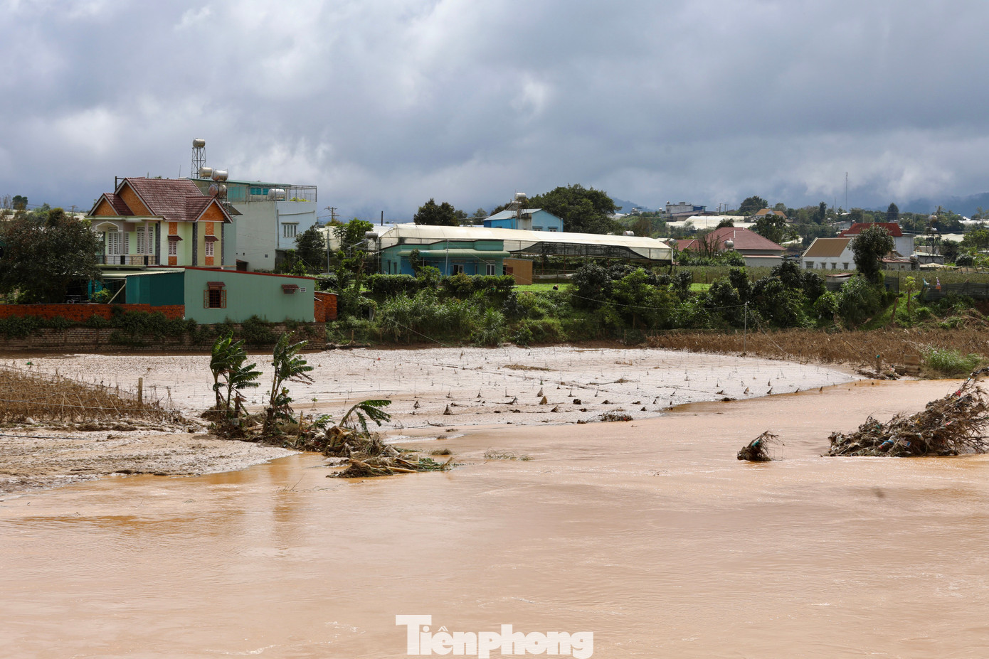 Tan hoang thủ phủ rau Lâm Đồng- Ảnh 3.
