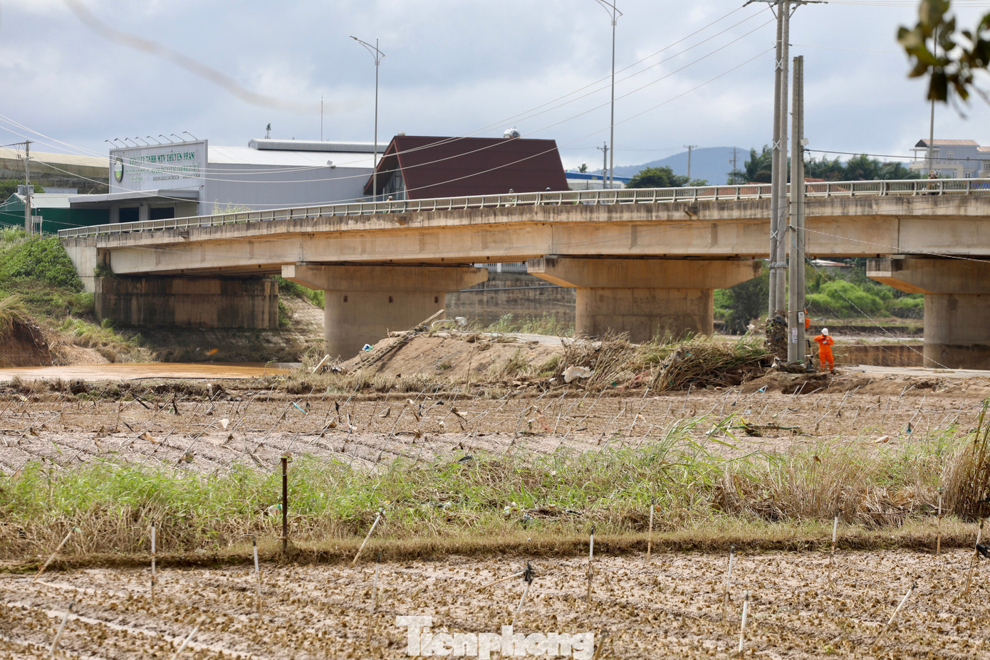 Tan hoang thủ phủ rau Lâm Đồng- Ảnh 4.