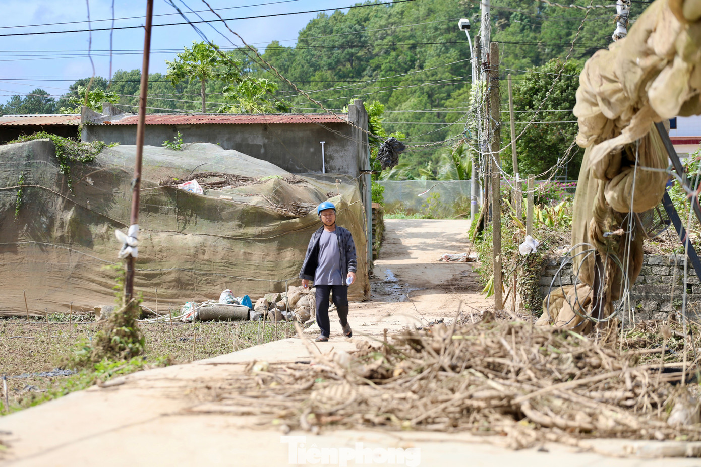 Tan hoang thủ phủ rau Lâm Đồng- Ảnh 10.