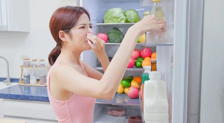 Trung bình cửa tủ lạnh của các gia đình Việt Nam đều có 1 thứ: Hóa ra có tác dụng bất ngờ- Ảnh 5.