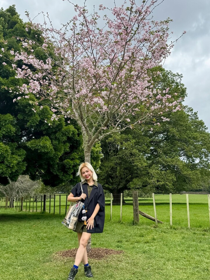 U50 tạm gác sự nghiệp, dấn thân chinh phục giảng đường quốc tế- Ảnh 2.